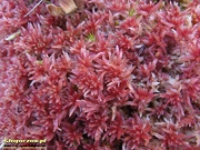 2012-11-15_[12].jpg